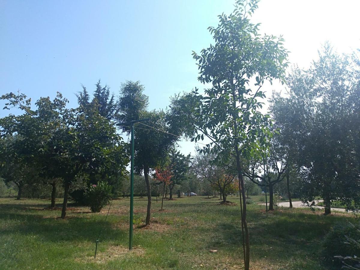 Apartment Ivana Novigrad Istria Buitenkant foto
